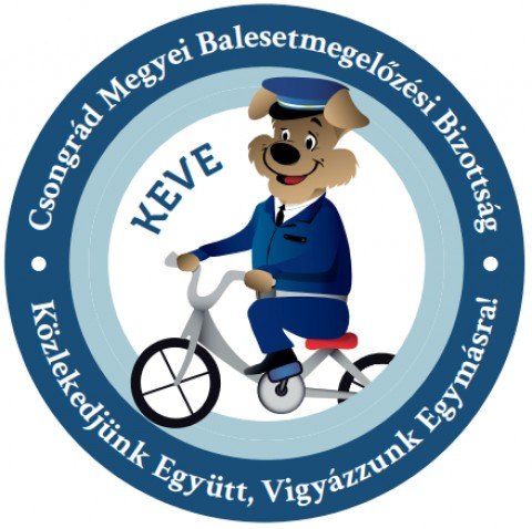 digi kitűző